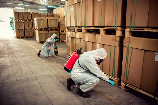 Best Emergency Pest Control  in Nashua, NH