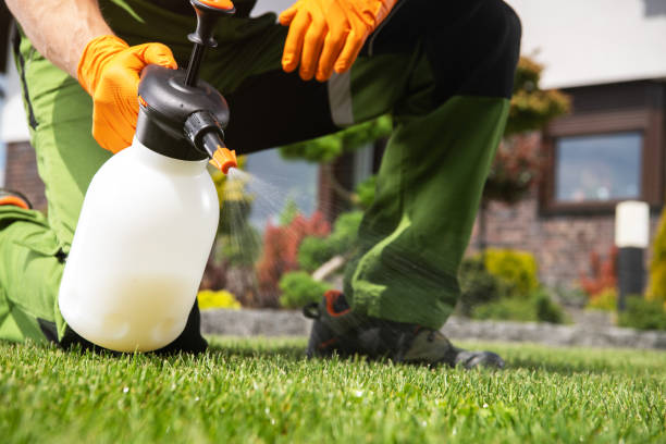 Best Wildlife Control Services  in Nashua, NH