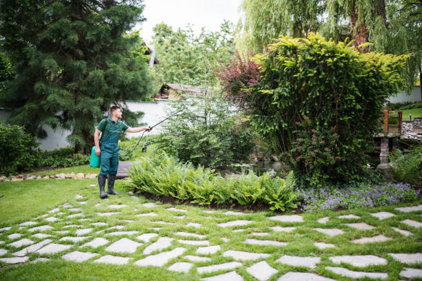 Best Affordable Pest Control Services  in Nashua, NH