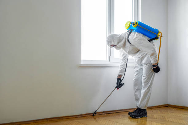 Best Affordable Pest Control Services  in Nashua, NH