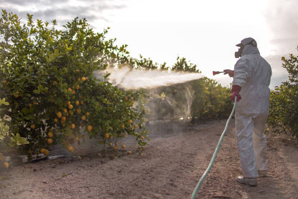 Best Mosquito Control Services  in Nashua, NH