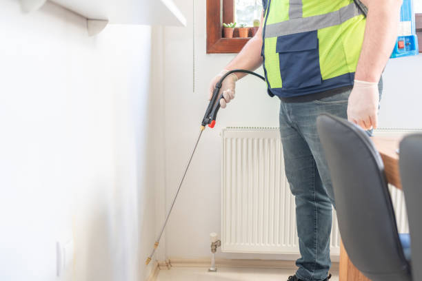 Best Pest Control Near Me  in Nashua, NH