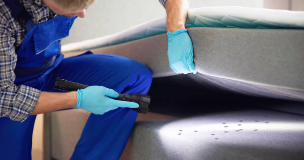 Best Insect Control  in Nashua, NH